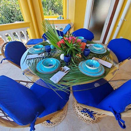 Blue Parrot Beach House And Villas Hopkins Kültér fotó