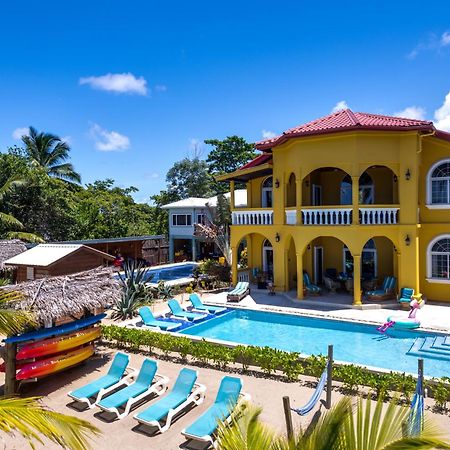Blue Parrot Beach House And Villas Hopkins Kültér fotó