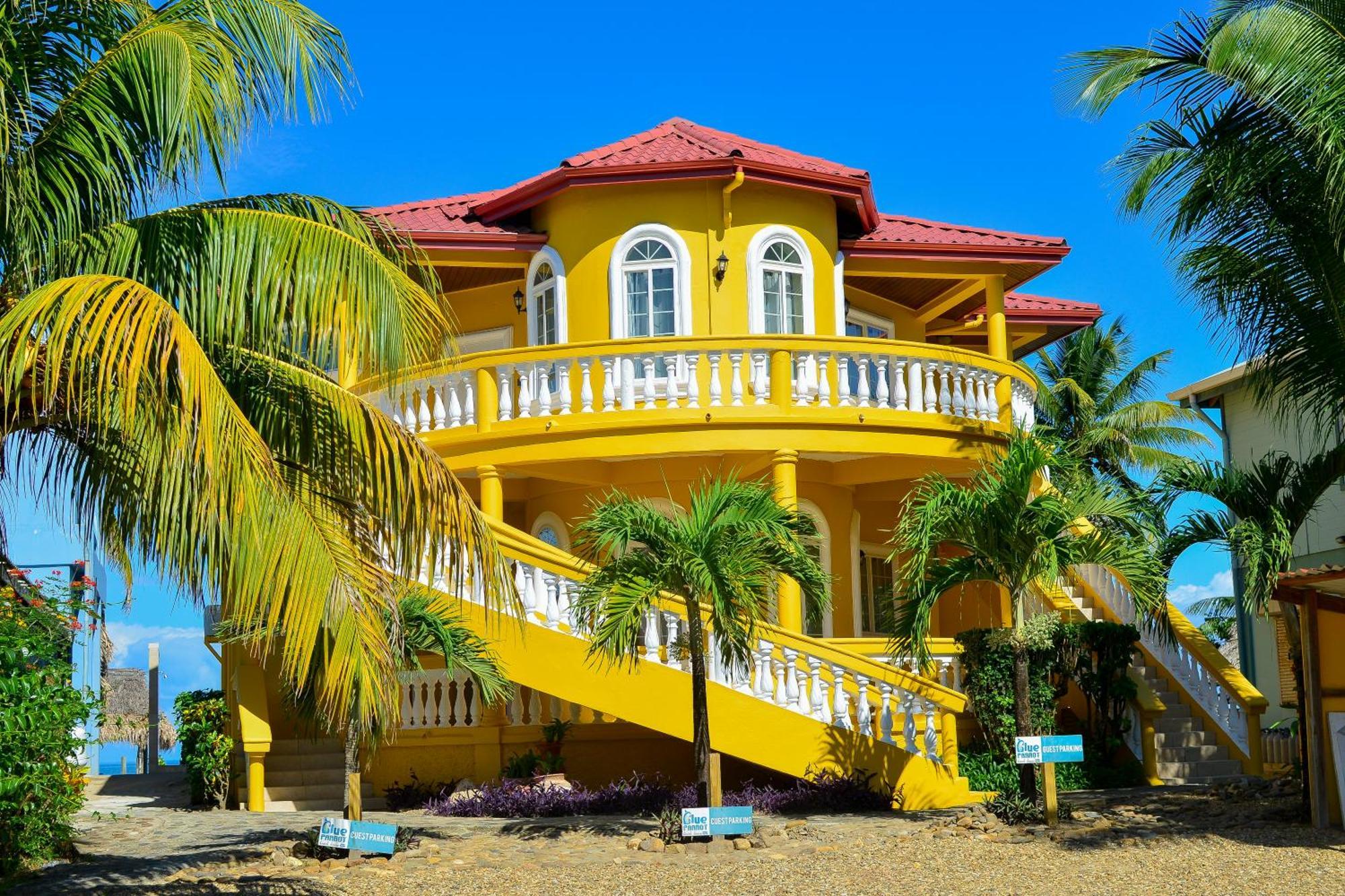 Blue Parrot Beach House And Villas Hopkins Kültér fotó