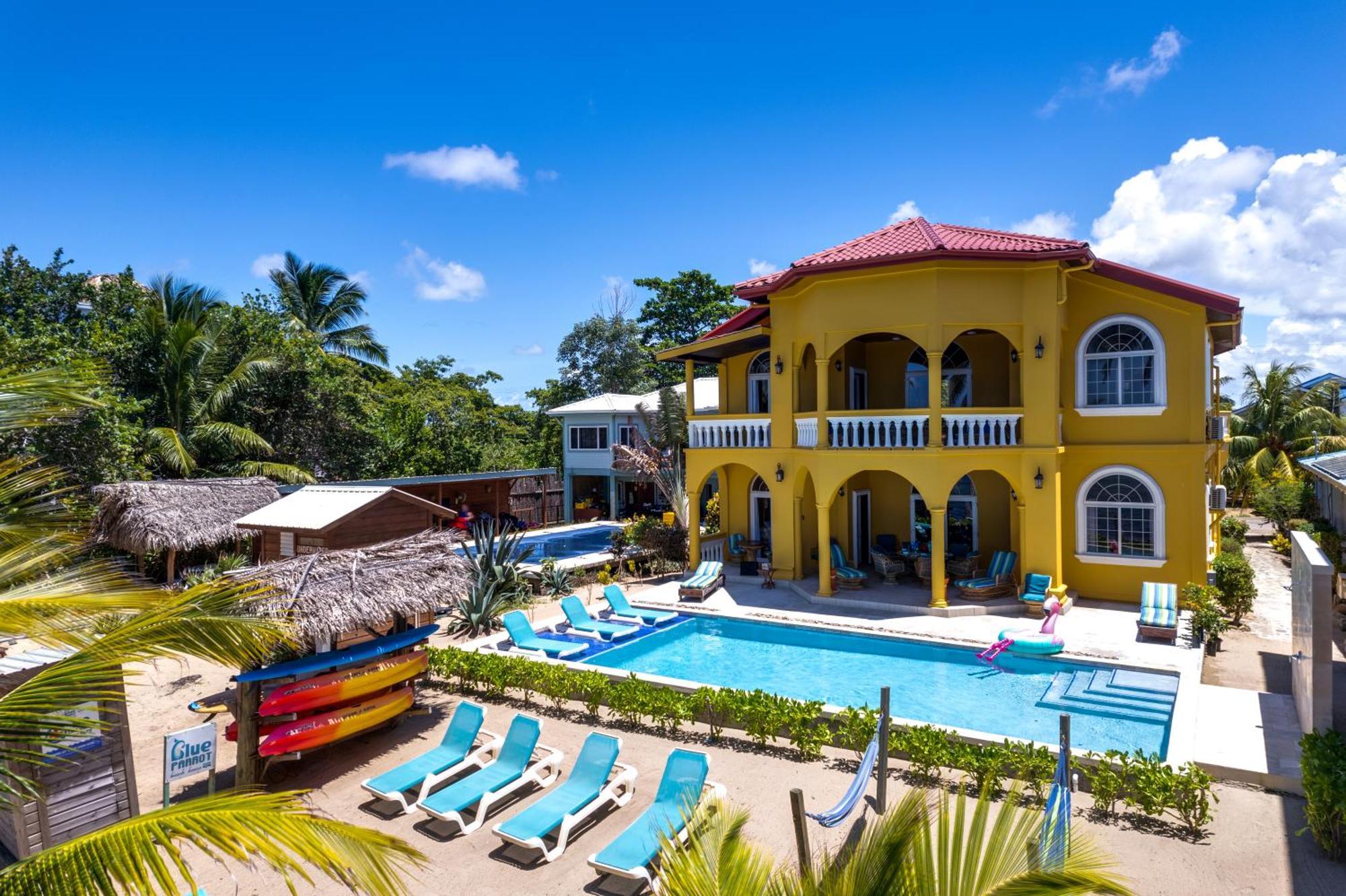 Blue Parrot Beach House And Villas Hopkins Kültér fotó