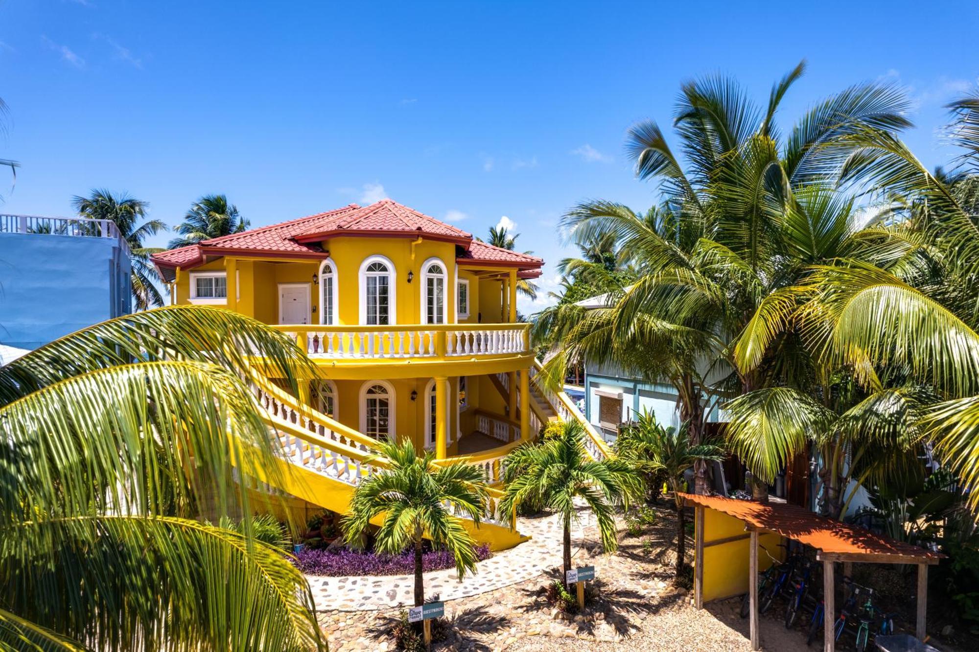 Blue Parrot Beach House And Villas Hopkins Kültér fotó